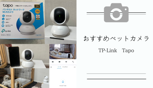 おすすめのペットカメラ【TP-Link Tapo】は高機能・高画質なのに設定はシンプルで簡単！ペットのお留守番中も安心♪