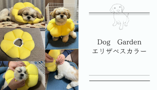 Amazonランキング1位【Dog Gardenのエリザベスカラー】はもちもちソフトでペットも快適♪手術後はこれで傷なめ防止！